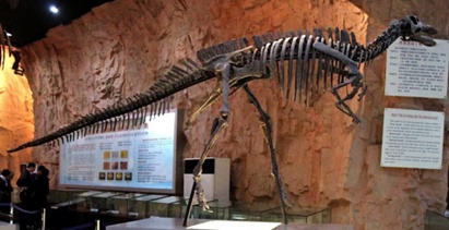 致敬名人动物名字_动物拉丁学名命名_2xing