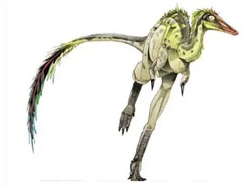 2xing_致敬名人动物名字_动物拉丁学名命名