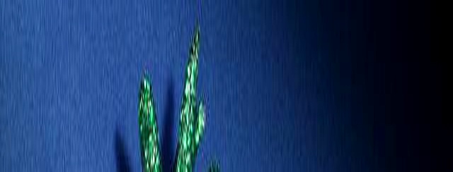 cf蓝钻_蓝钻搓脸对皮肤好不好_蓝钻C区最便宜三个楼盘