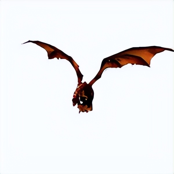 黑曜石龙焰_巨龙黑曜石在哪_黑曜石巨龙圣地