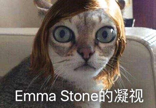 2xing_乌龙事件翻译起源_奥斯卡乌龙事件