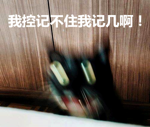 乌龙事件翻译起源_奥斯卡乌龙事件_2xing