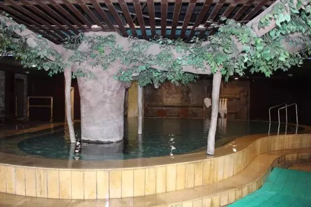 汇善谷养生温泉攻略_遵义枫香温泉_贵州温泉度假