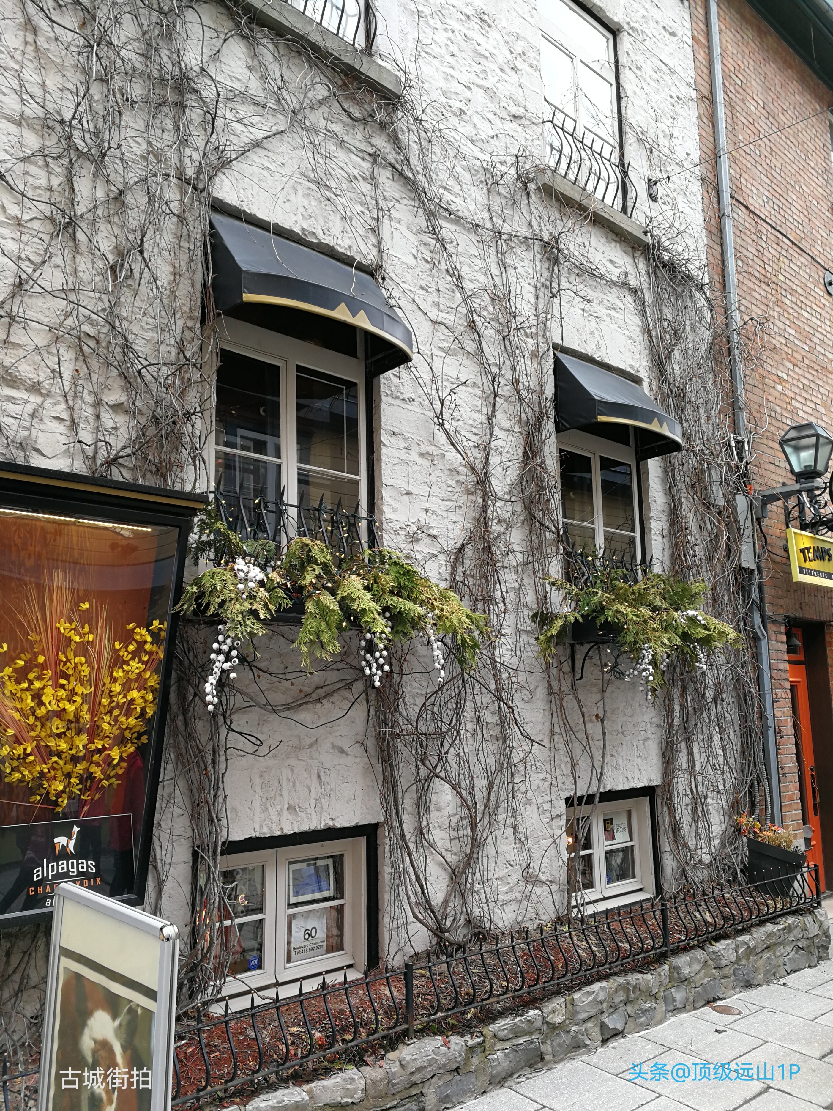 加拿大海运价格30公斤_加拿大魁北克海运费_加拿大海运时效