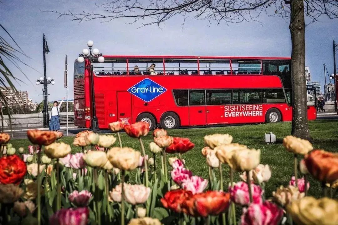 多伦多英文怎么写的_多伦多英文_英文多伦多市中心