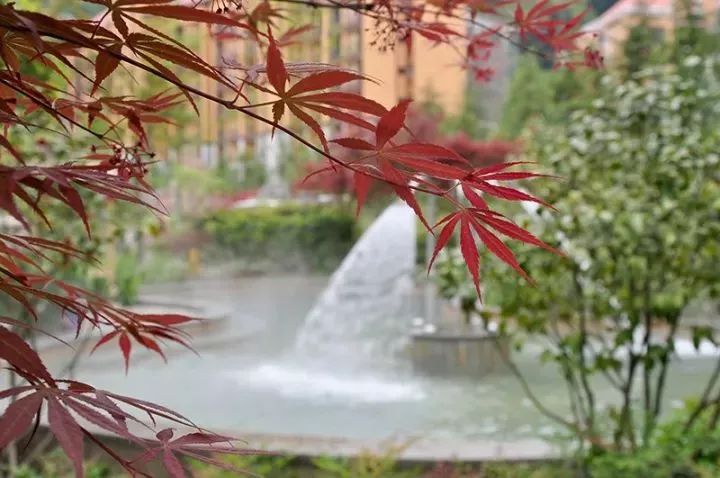 汇善谷养生温泉攻略_遵义枫香温泉_贵州温泉度假