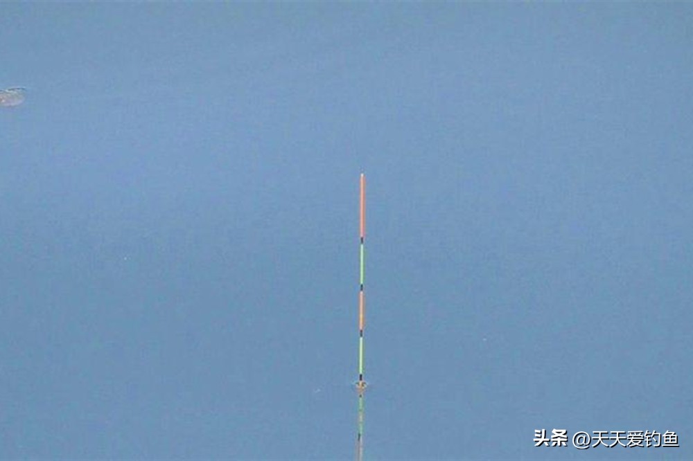 传统钓调漂方法_浮钓鲫鱼怎么调漂_冬季钓鲫鱼技巧