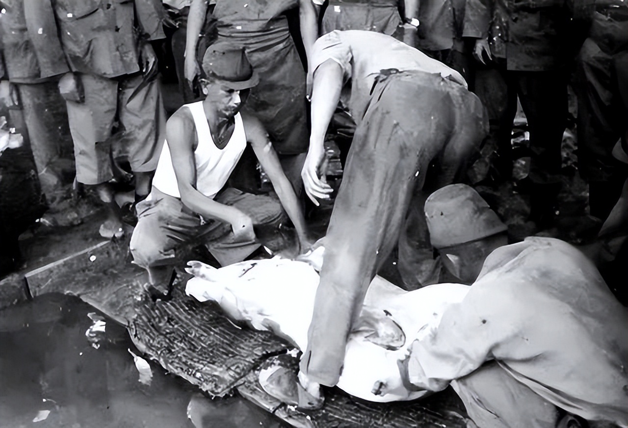 日本神户港口_日本神户港_神户港岛