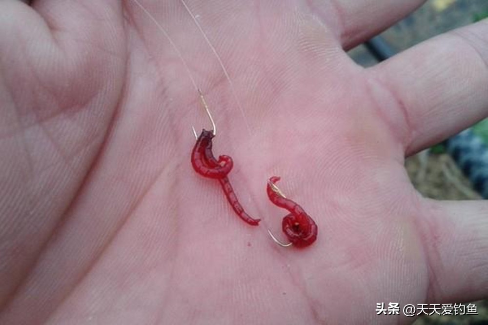 浮钓鲫鱼怎么调漂_秋末大水面钓鲫鱼_冬季小水面钓鲫鱼调漂