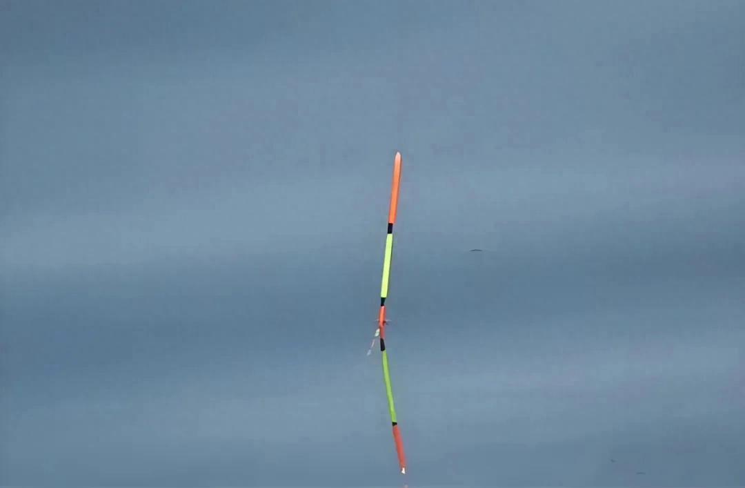 调平水钓两目鲫鱼技巧_钓鲫鱼调漂方法_浮钓鲫鱼怎么调漂