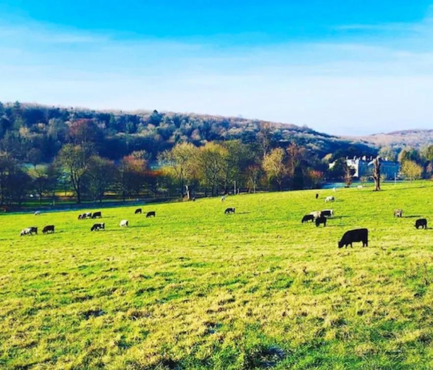 royalholloway_英国大学申请难度_英国大学分类