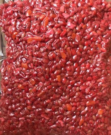 鲫鱼与大板鲫的区别_鲫鱼和板鲫_鲫鱼区别大板鲫和小鲫鱼