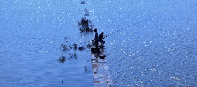 鲫鱼调漂野钓_钓鲫鱼的调漂_浮钓鲫鱼怎么调漂