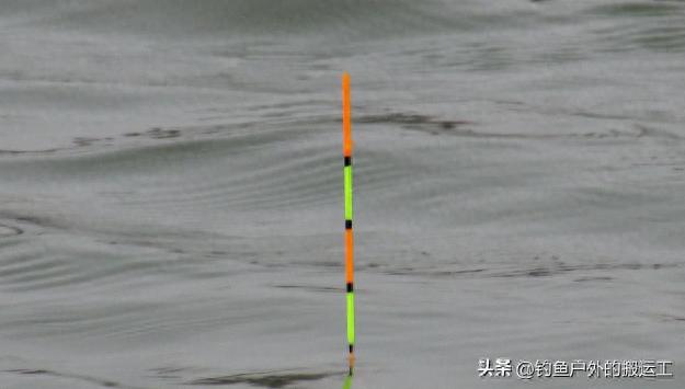 浮钓鲫鱼怎么调漂_钓鲫鱼调漂不灵不顿_带钩调几目钓几目