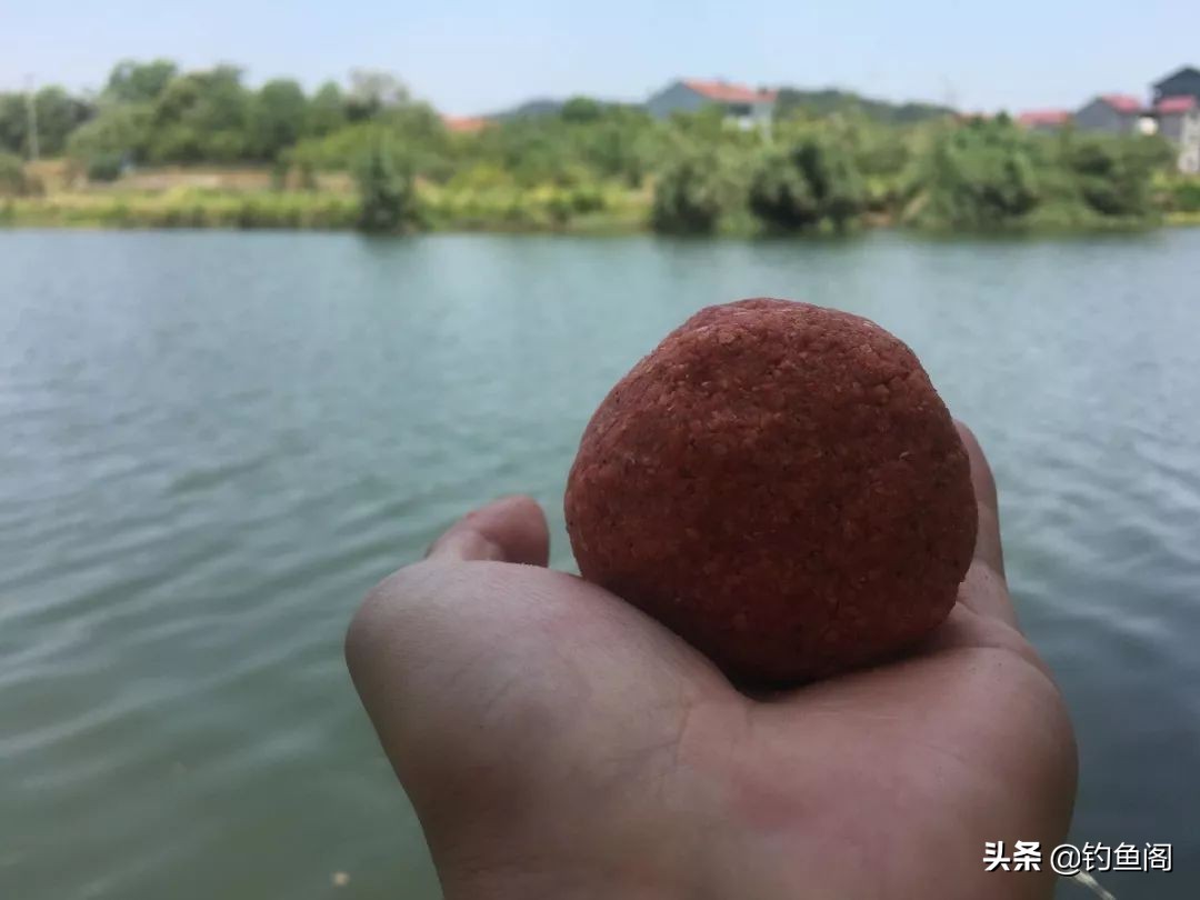 鲫鱼和板鲫_鲫鱼区别大板鲫和小鲫鱼_鲫鱼与大板鲫的区别