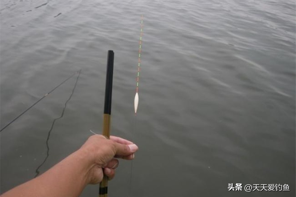 传统钓调漂方法_浮钓鲫鱼怎么调漂_冬季钓鲫鱼技巧