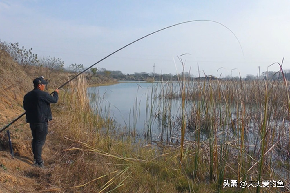 浮钓鲫鱼怎么调漂_传统钓调漂方法_冬季钓鲫鱼技巧