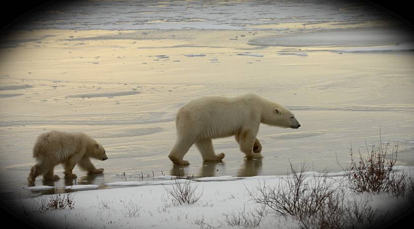天气蒙特利尔温度多少_蒙特利尔的天气_蒙特利尔气象预报