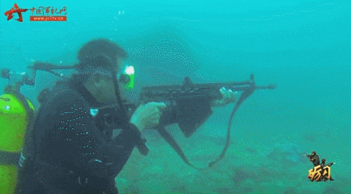 中国国产步枪发展史_cfqbz03_53式步骑枪