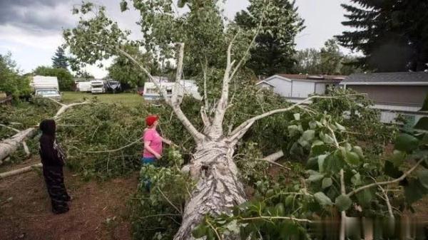 蒙特利尔的天气_天气蒙特利尔温度多少_蒙特利尔气象预报