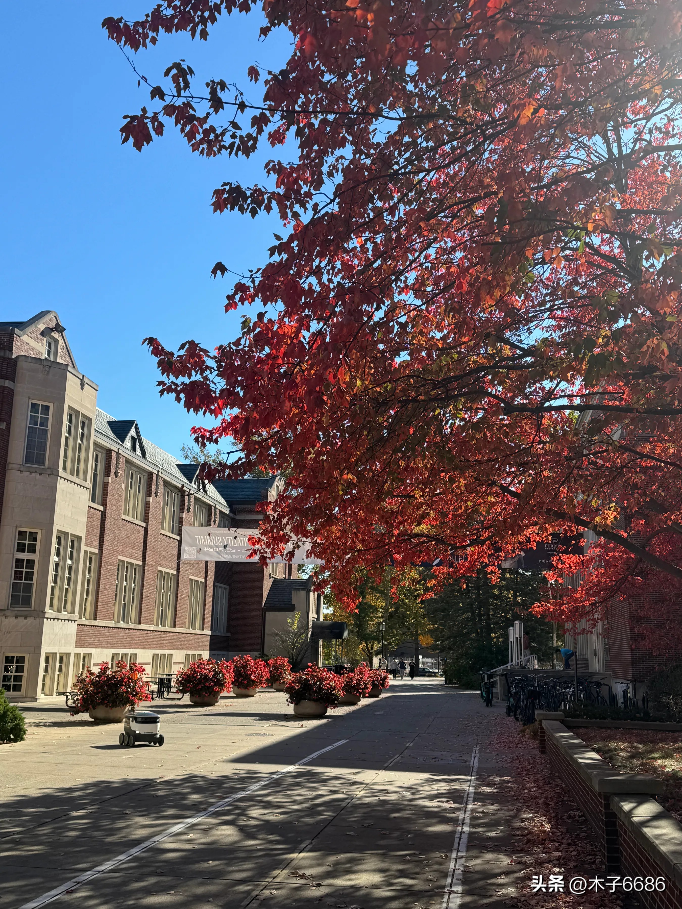 美国大学普及_美国普度大学_美国大学排名普渡