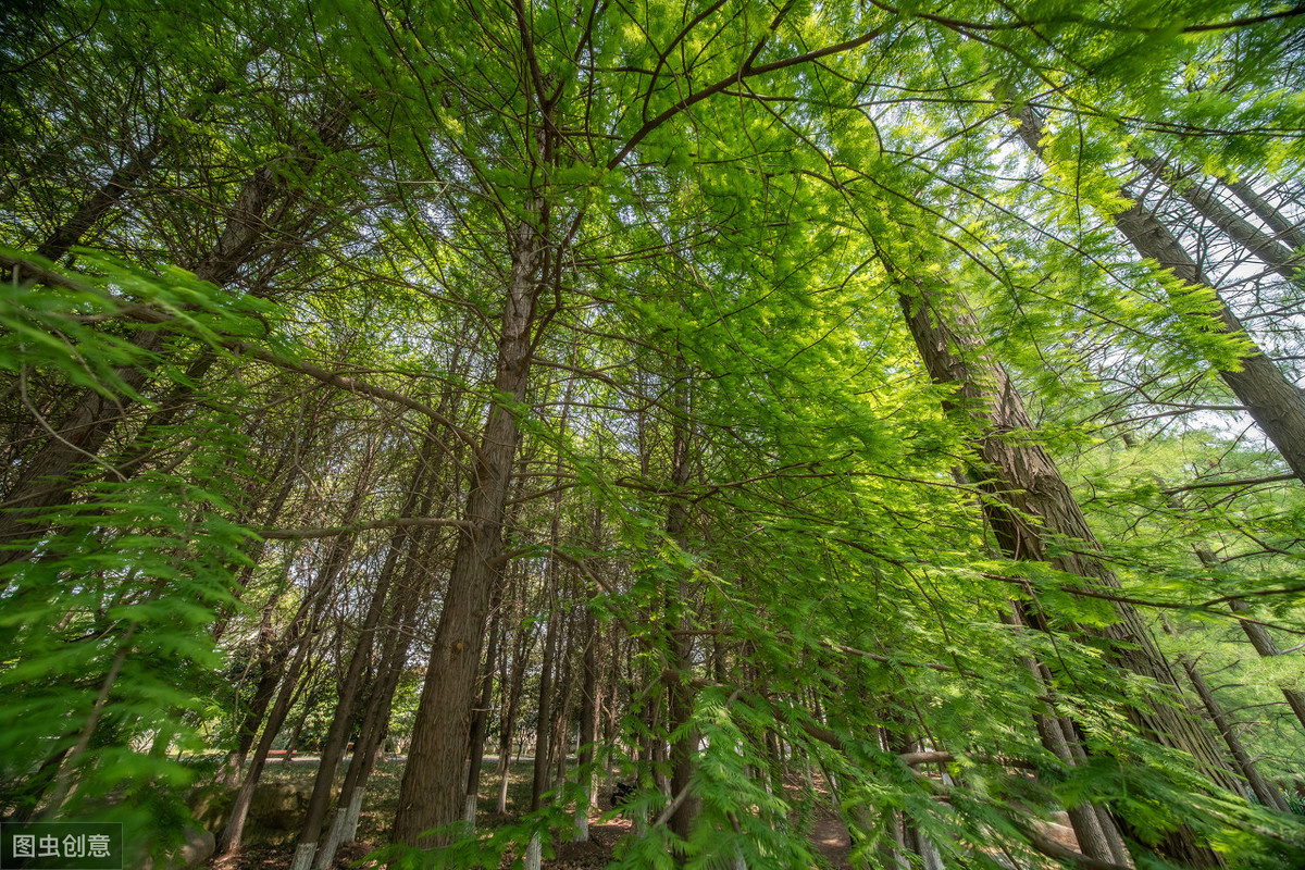 莫斯科时区是东几区_莫斯科时区是哪个时区_莫斯科在哪个时区