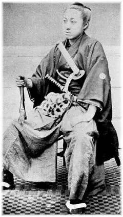 日本幕府时代原因_日本幕府时代是什么意思_幕府出现的原因