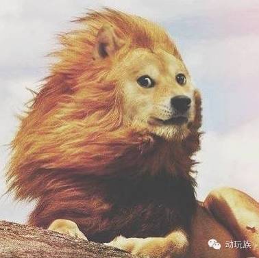 穿越火线ol_当年玩CF的经历_穿越火线回忆录