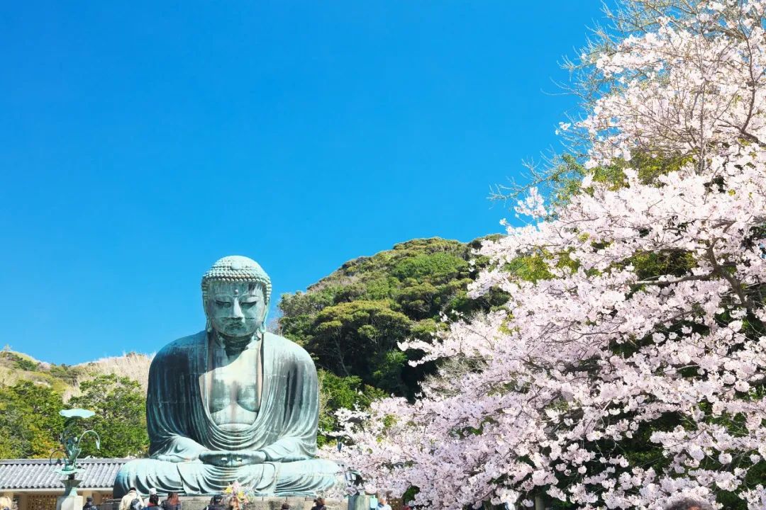 镰仓高校 灌篮高手铁道口 江之岛电铁线_镰仓灌篮高手在哪儿