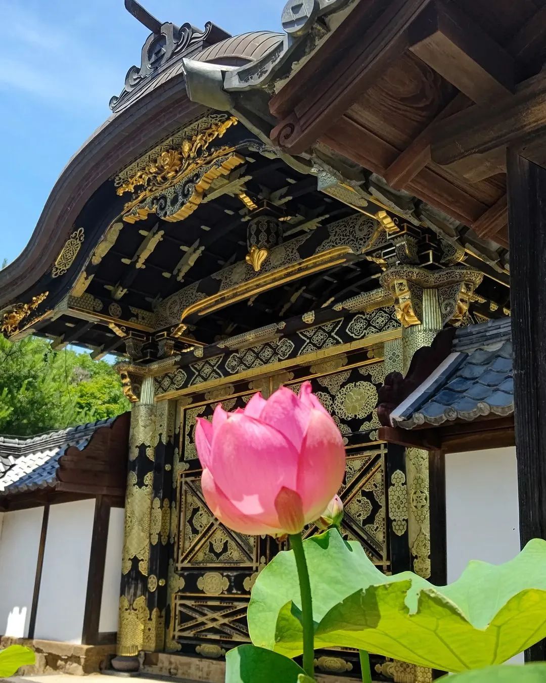 镰仓灌篮高手在哪儿_镰仓高校 灌篮高手铁道口 江之岛电铁线