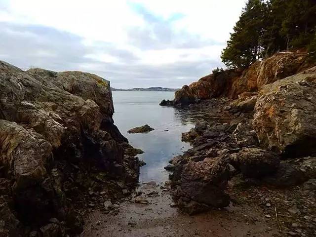 加拿大温哥华旅游攻略_ins上最钟爱的加拿大旅行地_加拿大旅行圣地