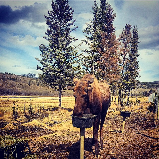 加拿大温哥华旅游攻略_加拿大旅行圣地_ins上最钟爱的加拿大旅行地