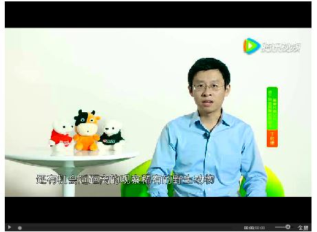 加拿大温哥华旅游攻略_加拿大国庆节自由行_加拿大日旅游攻略