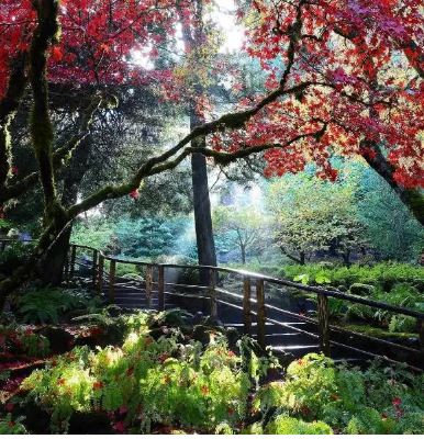 加拿大温哥华旅游攻略_加拿大国庆节自由行_加拿大日旅游攻略