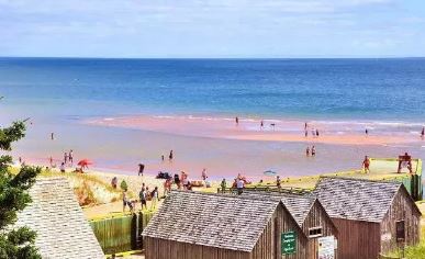 加拿大日旅游攻略_加拿大温哥华旅游攻略_加拿大国庆节自由行