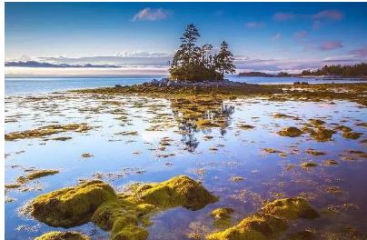 加拿大日旅游攻略_加拿大温哥华旅游攻略_加拿大国庆节自由行