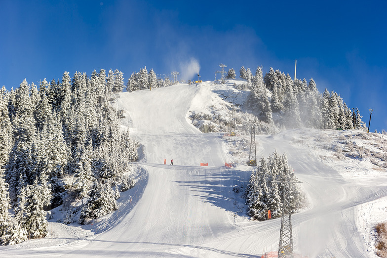 加拿大温哥华旅游攻略_ins上最钟爱的加拿大旅行地_加拿大旅行圣地
