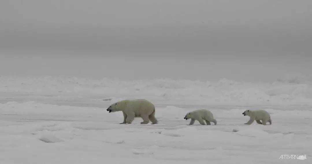 ins上最钟爱的加拿大旅行地_加拿大温哥华旅游攻略_加拿大旅行圣地