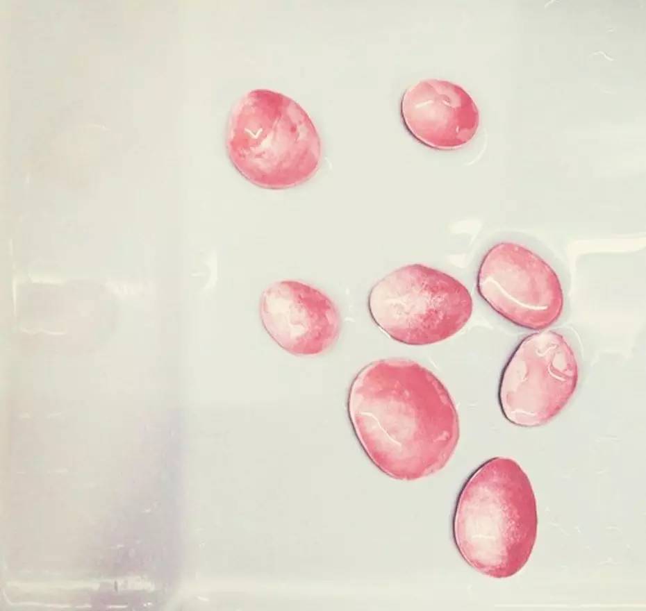 新绅士轻奢生活体验_手冲咖啡精神财富_leicester email