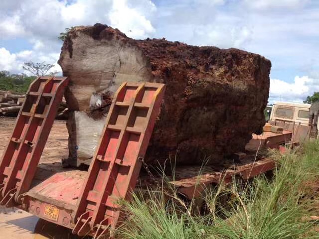 巴花大板什么纹路最贵_1200年树龄巴花_巴花木板纹理