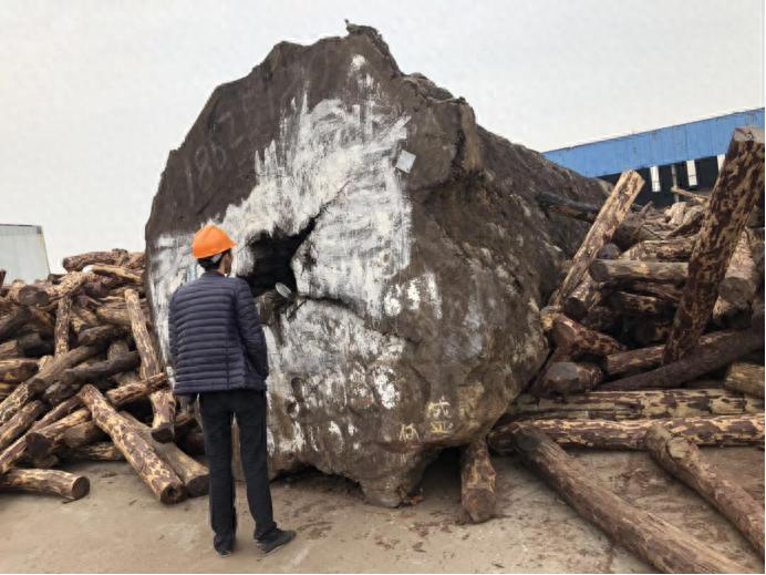 1200年树龄巴花_巴花大板什么纹路最贵_巴花木板纹理