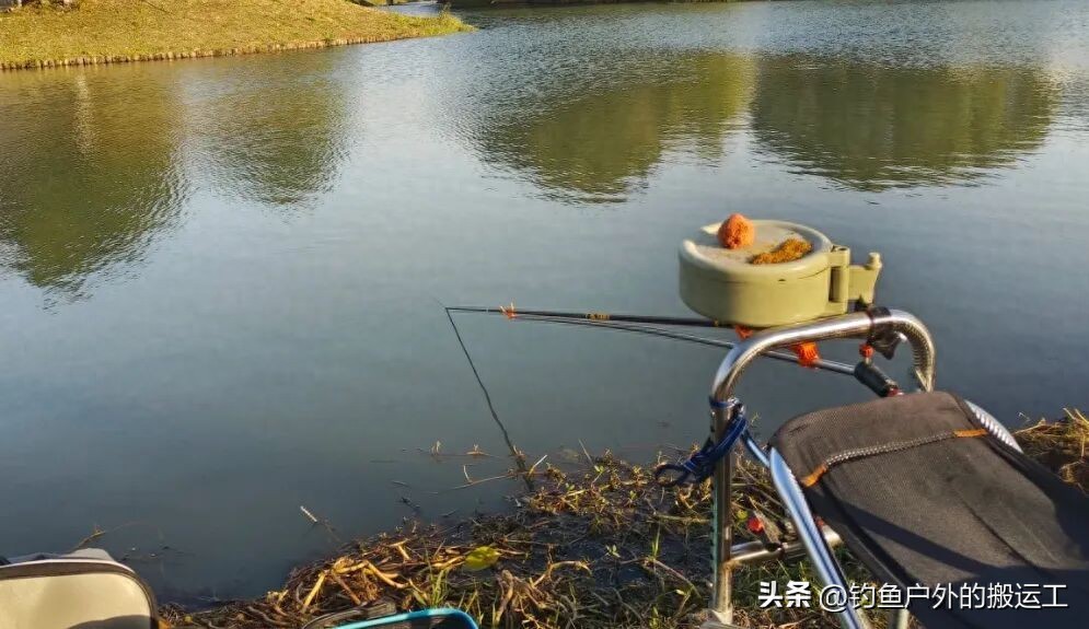 冬天钓鲫鱼打窝技巧_钓鲫鱼用什么打窝_冬季钓鲫鱼窝料禁忌