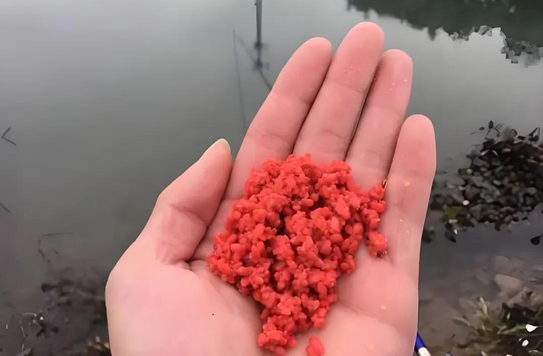 钓鲫鱼用什么打窝_野钓打窝技巧_避免窝料白打方法