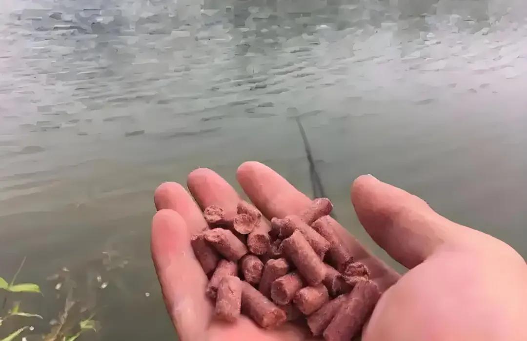 野钓打窝技巧_避免窝料白打方法_钓鲫鱼用什么打窝