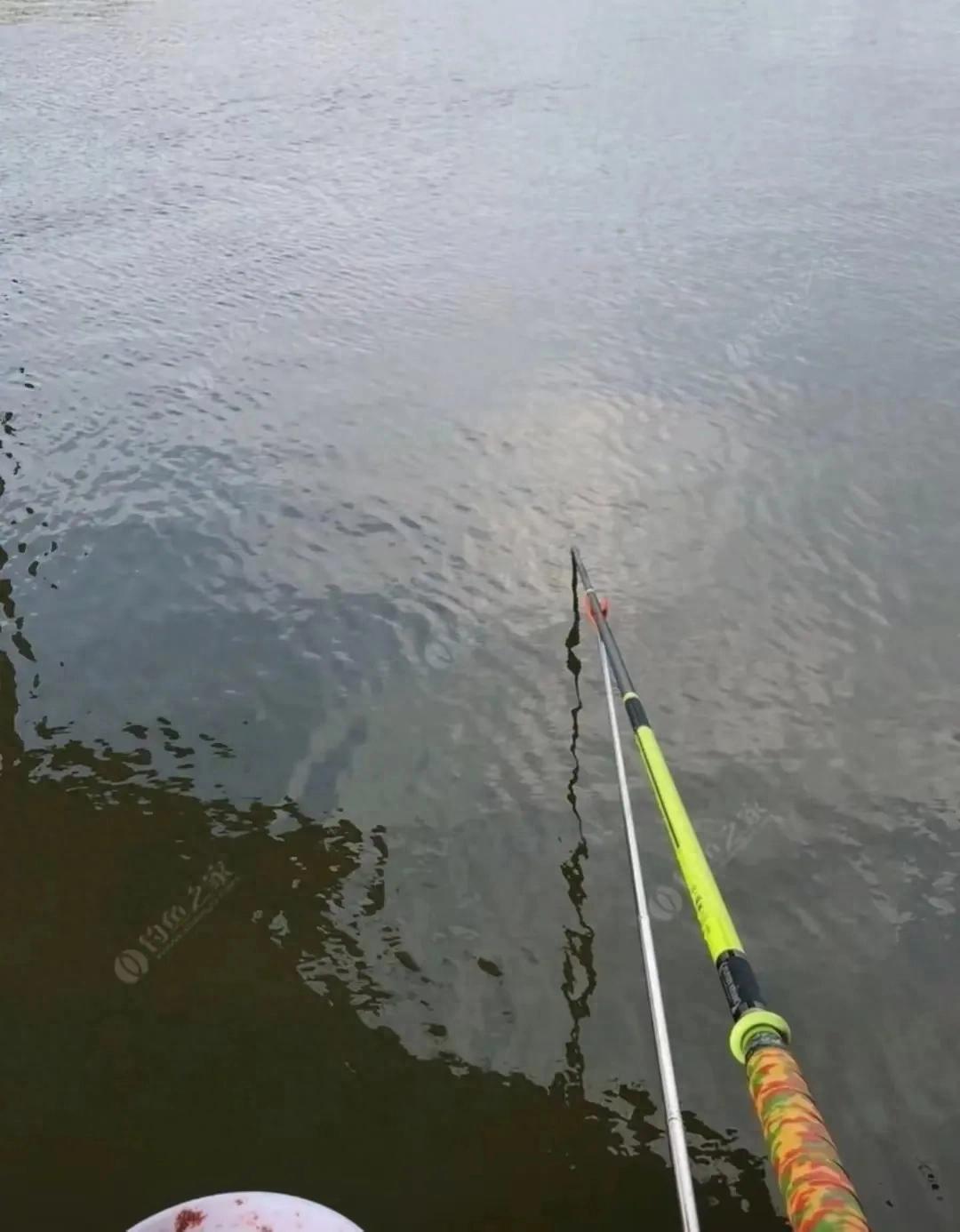 野钓打窝技巧_钓鲫鱼用什么打窝_精准打窝方法