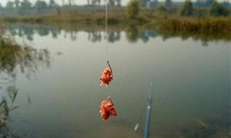 冬季酒米打窝技巧_钓鲫鱼用什么打窝_冬季钓鲫鱼酒米用法